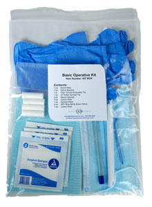 EverLight Dental Light