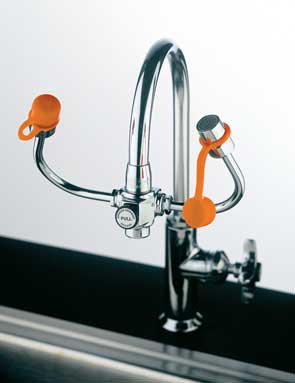 Eyewash Supplemental Emergency Station Gooseneck