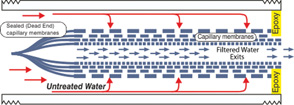 Cutaway Diagram of the CleanSpray Filter