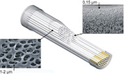 Clean Spray Filter Cutaway image