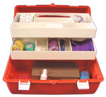 11 compartment storage case